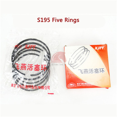 S195 Piston Ring 5 Ring - 副本
