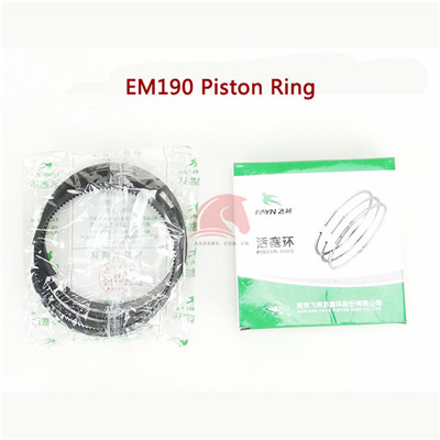 E190 Piston Ring