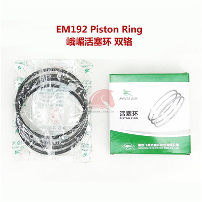 EM192 Piston Ring