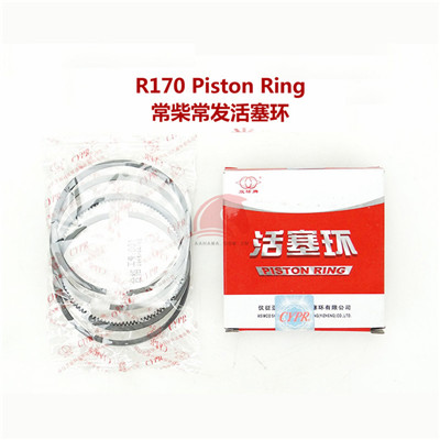 R170 Piston Ring