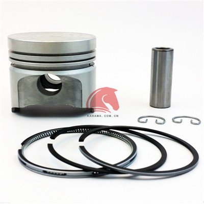 D950 Piston Kit